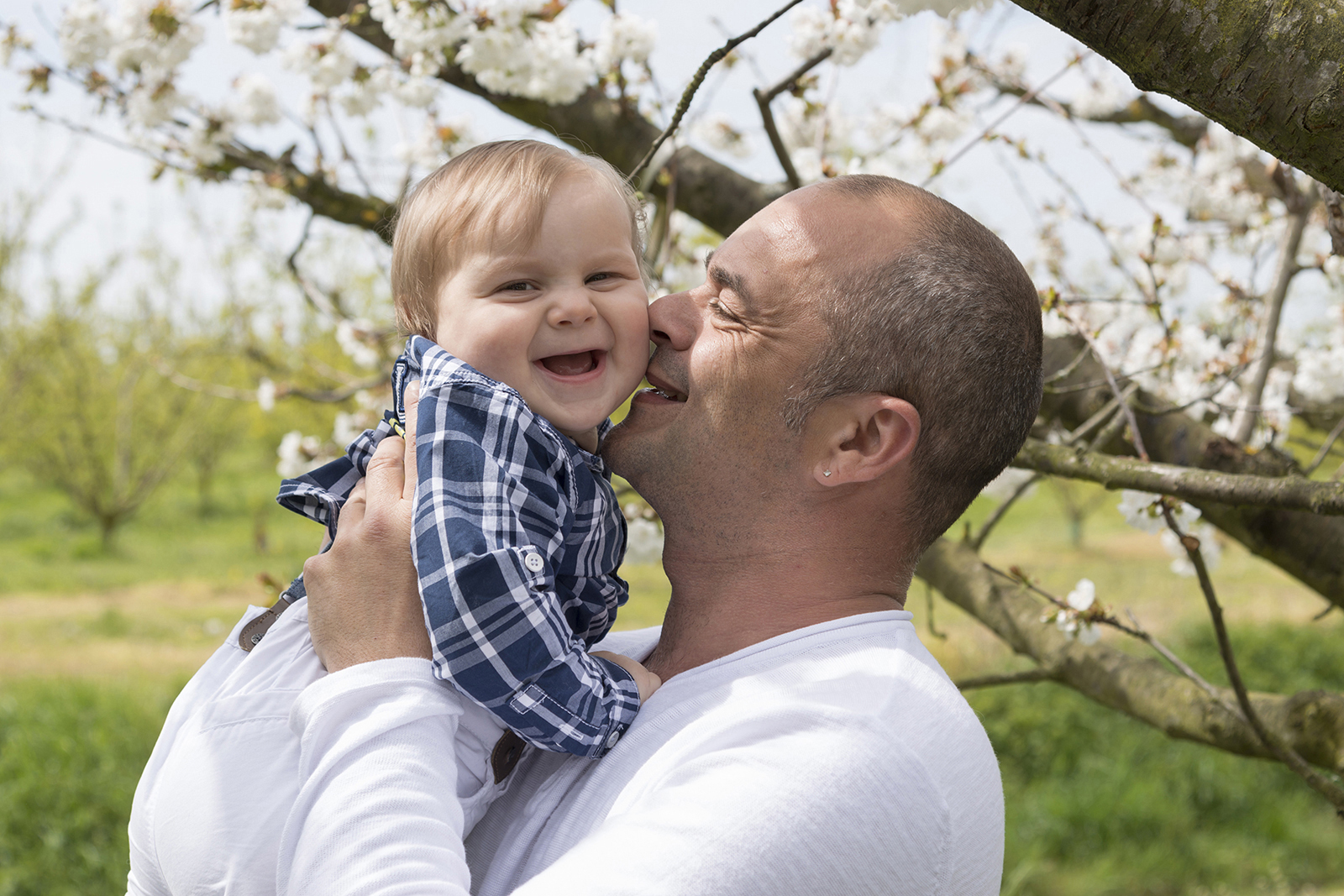 papa et son fils dans les cerisiers en fleur