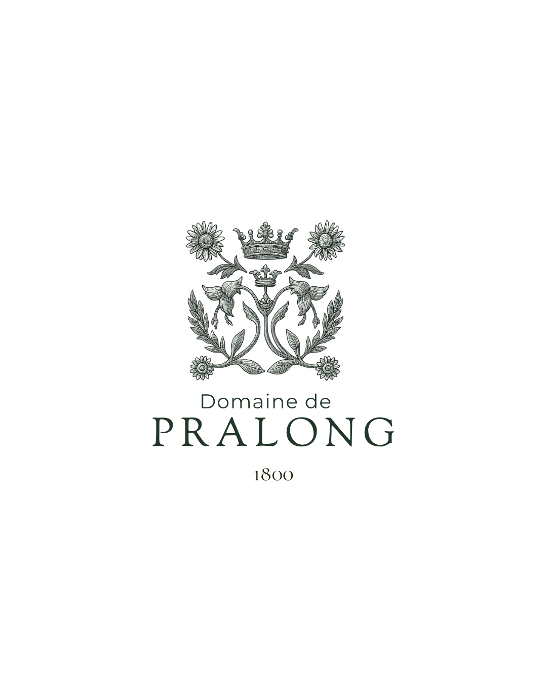 Logo domaine de Pralong
